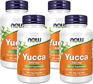 NOW Supplementen, Yucca (Yucca spp.) 500 mg, 4:1 concentraat, kruidensupplement, 100 capsules (verpakking van 4)