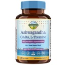 Terranics Ashwagandha L-Theanine Supplement for Stress Relief, Combined with GABA, Lemon Balm, Chamomile Flower Extract, Non-GMO, Stay Calm & Relaxed, Boost Cognitive Function, 120 Vegan Capsules
