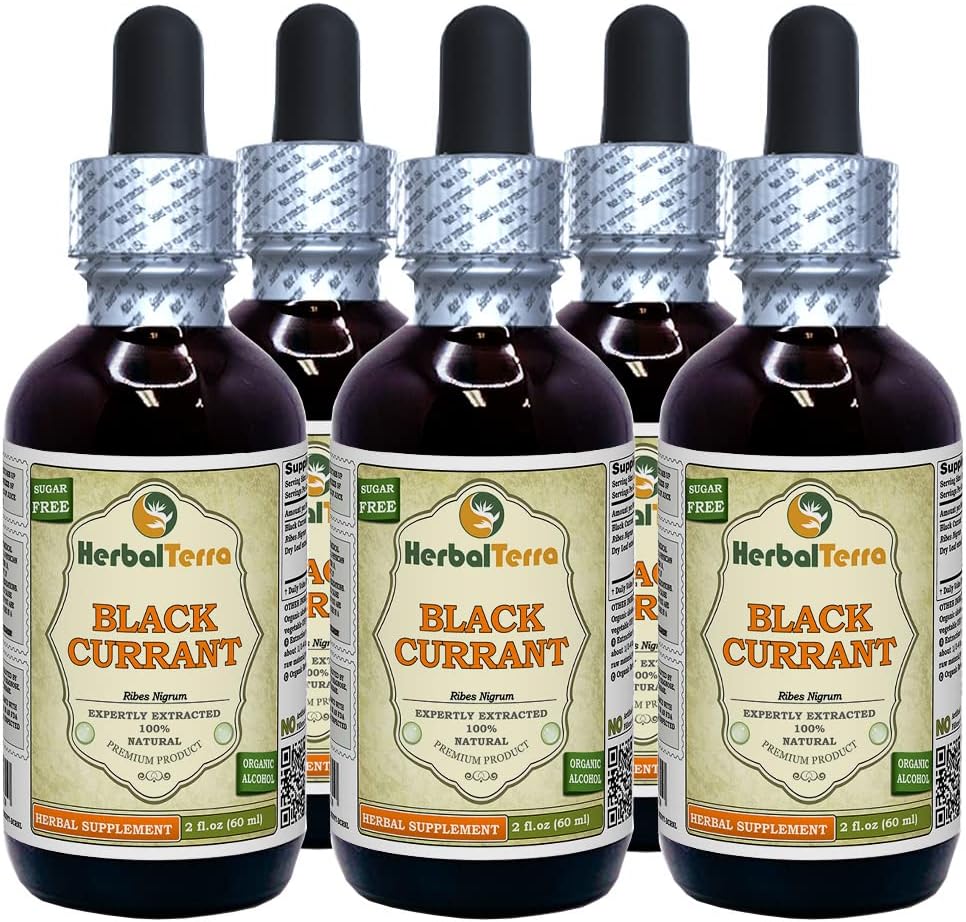 Zwarte bessen (Ribes nigrum) Tinctuur, gedroogde bladeren Liquid Extract (Brand Naam: HerbalTerra, Trots Made in USA) 5x2 f.oz (5x60 ml)