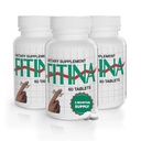 Brain Supplements for Memory and Focus with Vitamin B6 & Thiamine — High-Dose B Vitamins Nervous System and Cognitive Health Support, Daily Supplement Formula for Adults, 60 Tablets (3-Pack)