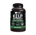 Pure originele ingrediënten Kelp Extract (365 capsules) Geen Magnesium of Rijst Fillers, altijd zuiver, Lab geverifieerd