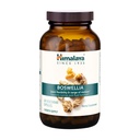 Himalaya Boswellia, gezamenlijke ondersteuning voor mobiliteit en flexibiliteit, bevordert weefselbehoud, 250 mg, 240 capsules