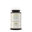HerbEra Meadowsweet 60 Capsules, 400 mg, Meadowsweet (Filipendula ulmaria) Dried Herb (60 Capsules)