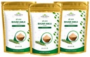 Bhumi Amla Powder (Phyllanthus Niruri) | Raw Ayurvedic Herb | Single Ingredient | 100% Pure & Natural | 100g (Pack of 3)