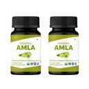 ORGANIC SPREE Amla Tablets - 1200 mg per Serving - Indian Gooseberry, Phyllanthus Emblica Supplement, Rich in Vitamin C & Supports Immune Health,120 Tablets* - GMP and Organic Certified - Pack of 2