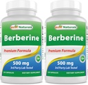 Best Naturals Berberine 500mg 120 Capsules - Ondersteunt Immuunfunctie, Cardiovasculaire en Gastro-intestinale functie (120 Tellen (Pack of 2))