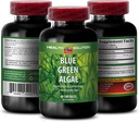 Blue Green Algen Superfood - Blue Green Algen - Blue Green Algen for Immunity - Klamath Shores Blue Green Algen, Digestie Supplement, Immune Support Supplement, Blue Green Algen Powder, 1b 60 Caps