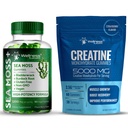 WELLNESS LABSRX Creatine Gummies 5000mg - Sea Moss Gummies 3200mg | Bundle