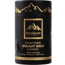 SoundHealth Shilajit for Men & Women Gummies with Shilajit Fulvic Acid, Complex with Ashwagandha, Ginger, Black Musli, Gokshura, Kaunch, Ginseng & Akarkara, Non- GMO & Third-Party Tested, Vegan Gummy