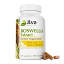 Jiva Botanicals Boswellia Extract Capsules 700mg per portie - Boswellia Serrata Extract Supplement & Black Pepper - Joint Support Supplement for Normal Joint Health - 120 Capsules (pack of 1)