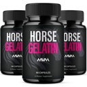 Havah Horse Gelatin Advanced Overall Support Capsules, Horse Gelatin Advanced All Natural Health Management and Overall Wellness Support Supplement Formula Pills (3 Pack - 180 Capsules)