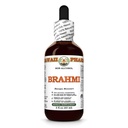 Hawaii Pharm Brahmi Alcohol-Free Extract, Glycerite for Cognitive Function and Memory, Promotes Calm and Balance, Supports Mental Clarity, Encourages Emotional Resilience - 2 fl.oz