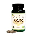 GREENBOW Propolis 1000mg NonGMO Gemaakt met Biologische Propolis 60 Capsules VEGAN CAPSULES