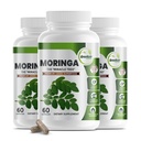 GreeNatr Pure Moringa Oleifera Leaf Extract Veggie Capsules 1000 mg. Natuurlijk kruidensupplement. Energie, Mood, Geheugen en Focus Ondersteuning. Premium Green Superfood (3 flessen)