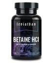 Leviathan Betaine HCl met Pepsin & Gember - Digestief enzymsupplement voor spijsverteringssteun en -ondersteuning, maagzuur en Nutriëntabsorptie