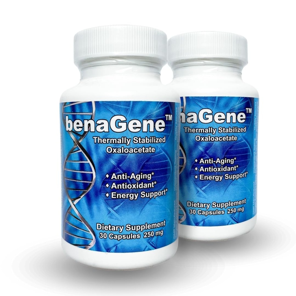 Benagene Oxaloacetaat Supplement - Ondersteunt Cellulaire Energie, Gezond Metabolisme, & Body Regulation - Thermisch gestabiliseerd met Vitamine C - Niet-GMO & Vegan - Eenmaal daags (60 porties)
