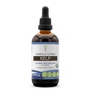 Secrets of the Tribe Kelp USDA Organic | Alcohol-Free Extract, High-Potency Herbal Drops | Made from 100% Certified Organic Kelp (Ascophyllum nodosum) Dried Plant (4 oz)