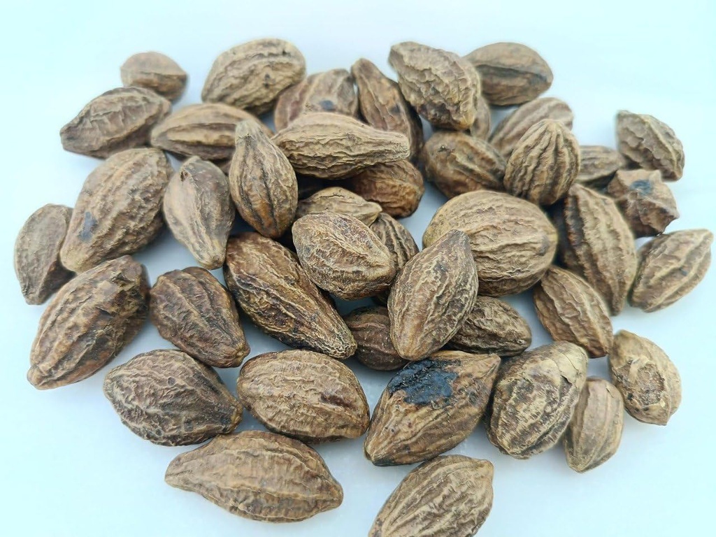 Badi Harad Whole-Aralu | Inknut | Haritaki | Kadukkai-Harar-Terminalia.Chebula-Karakkaya(Pack of 1) 50g