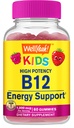 WellYeah Vitamine B12 Gummies for Kids - Boost Energy, Verbeter de hersenfunctie, en Versterk het immuunsysteem - Non-GMO, Glutenvrij - Geweldige Proef Berry smaak - Gemakkelijk te kauwen - 60 Gummies