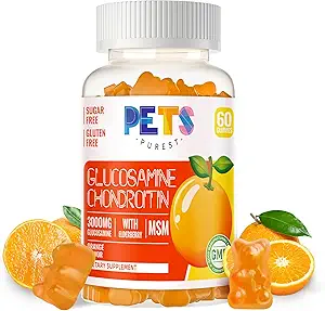 Huisdieren Zuiverste Glucosamine Chondroitin Gummies met MSM & Vlierbes Extra sterkte - Gezamenlijke ondersteuning, Antioxidant Immune Ondersteuning Supplement voor volwassenen, mannen en vrouwen. Oranje
