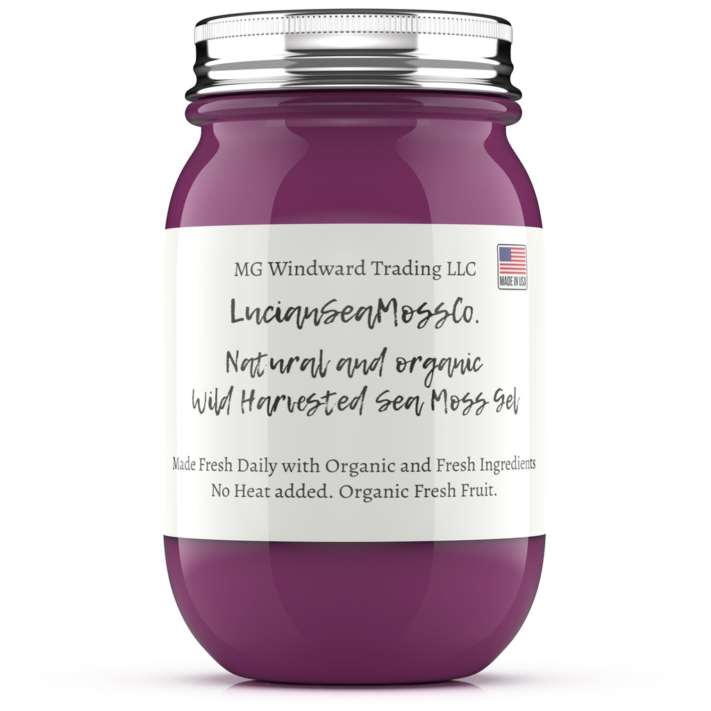 Pure Certified Wild Harvested Organic Sea Moss Gel Made Fresh (16 ounce, Elderberry Ginger)