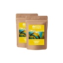 Blessfull Healing Organic Kelp Powder 100% Pure Natural 100 Gram (3.52 oz) Each (Pack of 2) = 200 Grams, Vegan