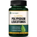 Kalawalla Root Capsules, Polypodium Leucotomos Extract Supplementen Ondersteuning Immune System, Huid Gezondheid, en vrije radicalen verdediging, duurt 3 maanden. Aantal