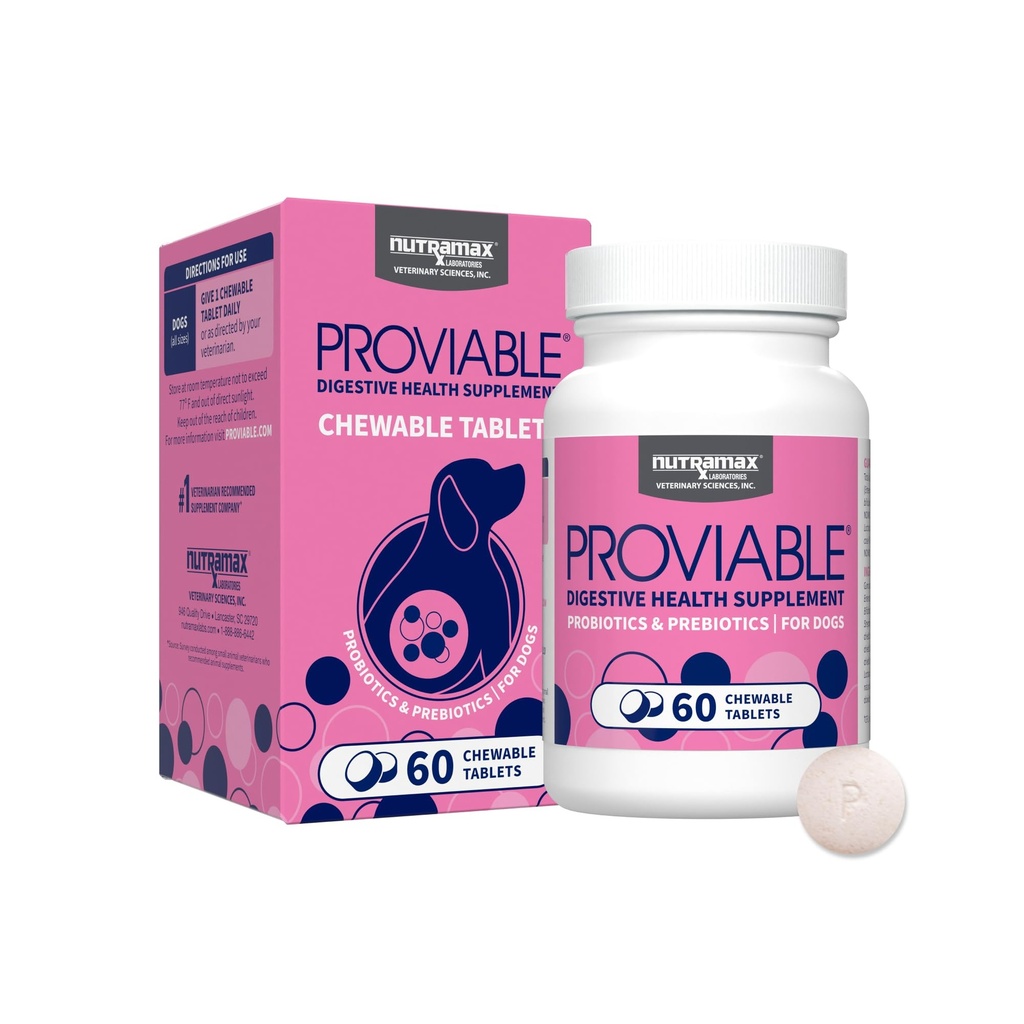 Nutramax Proviable Probiotica voor honden, Dagelijkse Digestieve Gezondheid Supplement met Meerdere Strains van Bacteriën, Honden Probiotica Plus Prebiotica, 60 Kauwtabletten