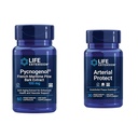 Levensverlenging Pycnogenol Franse maritieme pijnboomschors & Gotu Kola Arteriële Gezondheidssupplementen - 60 & 30 Vegetarische Capsules