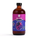 Kai Everyday Sea Moss Bitters Liquid, Organic GI Support Living Bitters; With Black Seed Extract, Aloe Vera & Ginger, Supports Natural Defenses & Resilience; 16 Oz (1 Pack)