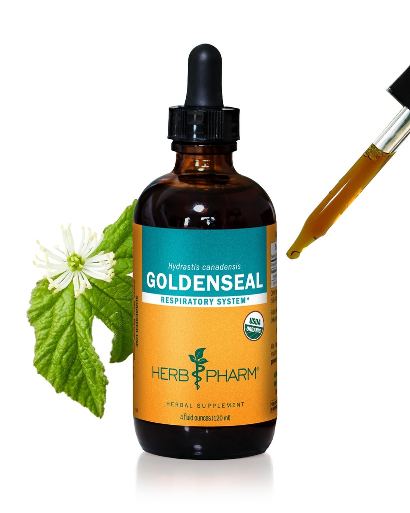 Herb Pharm Certified Organic Goldenseal Liquid Extract voor ademhalingssysteem ondersteuning - 4 Ounce