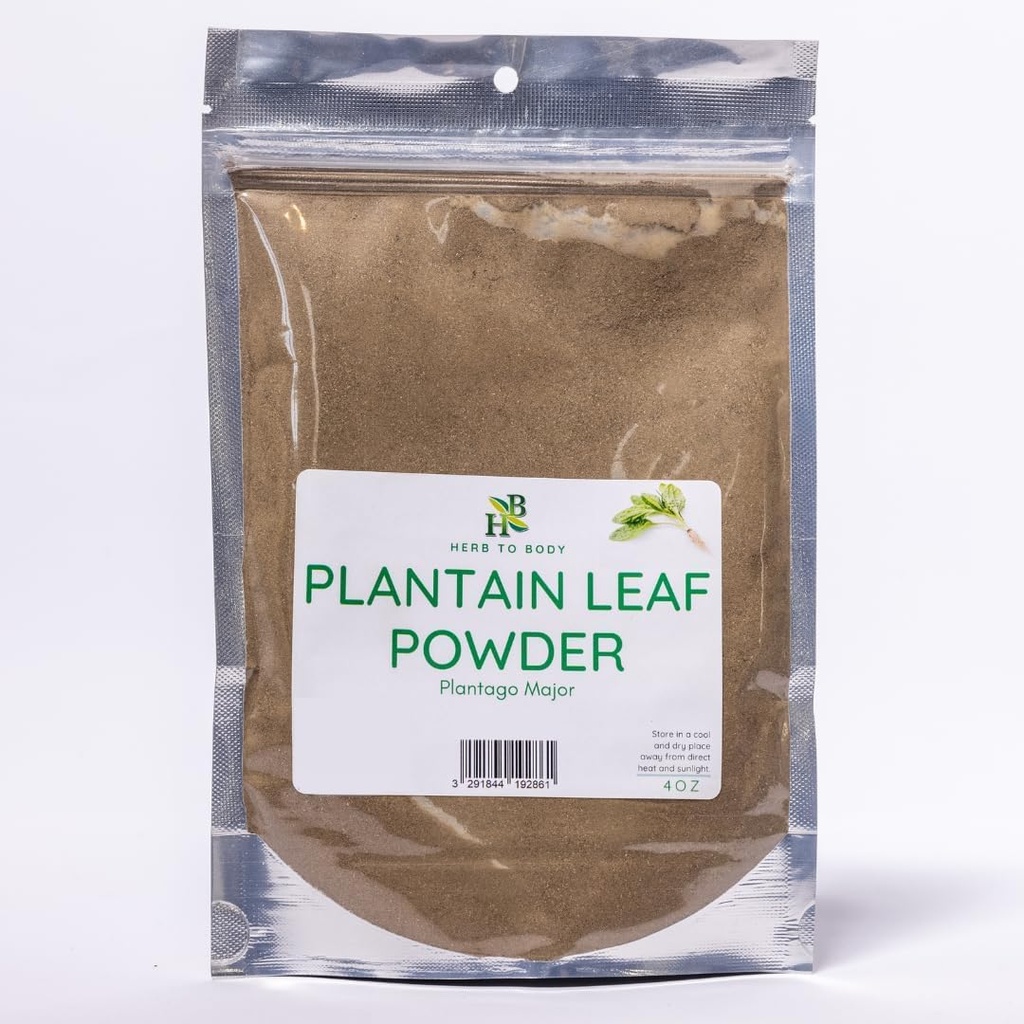Herb To Body Plantain Leaf Powder – 4oz, Wildcrafted Plantago major, Finely Ground Plantain Leaf for Herbal Tea, Traditional Herbal Blends, and DIY Preparations
