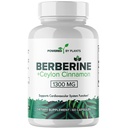 Pure Berberine Supplement - 1300mg Berberine with Ceylon Cinnamon for Metabolism & Immune System Support - 60 Servings