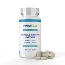 Methyl-Life® Chewable Digestive Enzymes – Broad-Spectrum Plant-Based Enzyme Blend for Balanced Digestion & Nutrient Breakdown – Vegan, Non-GMO, Gluten-Free – Natural Mint-Flavored Tablets | 90 Count