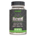 Enorme supplementen Arachidon, Arachidonzuur supplement, bevordert Lean Mass & Verhoogde sterkte, Hoogste gedoseerd met 1000mg per portie, 120 Softgels