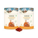 Wellwith Sea buckthorn Gummies for kids and adults, Vitamin C Rich, multivitamin supplement, Immunity (60 Gummies,Pack of 2)