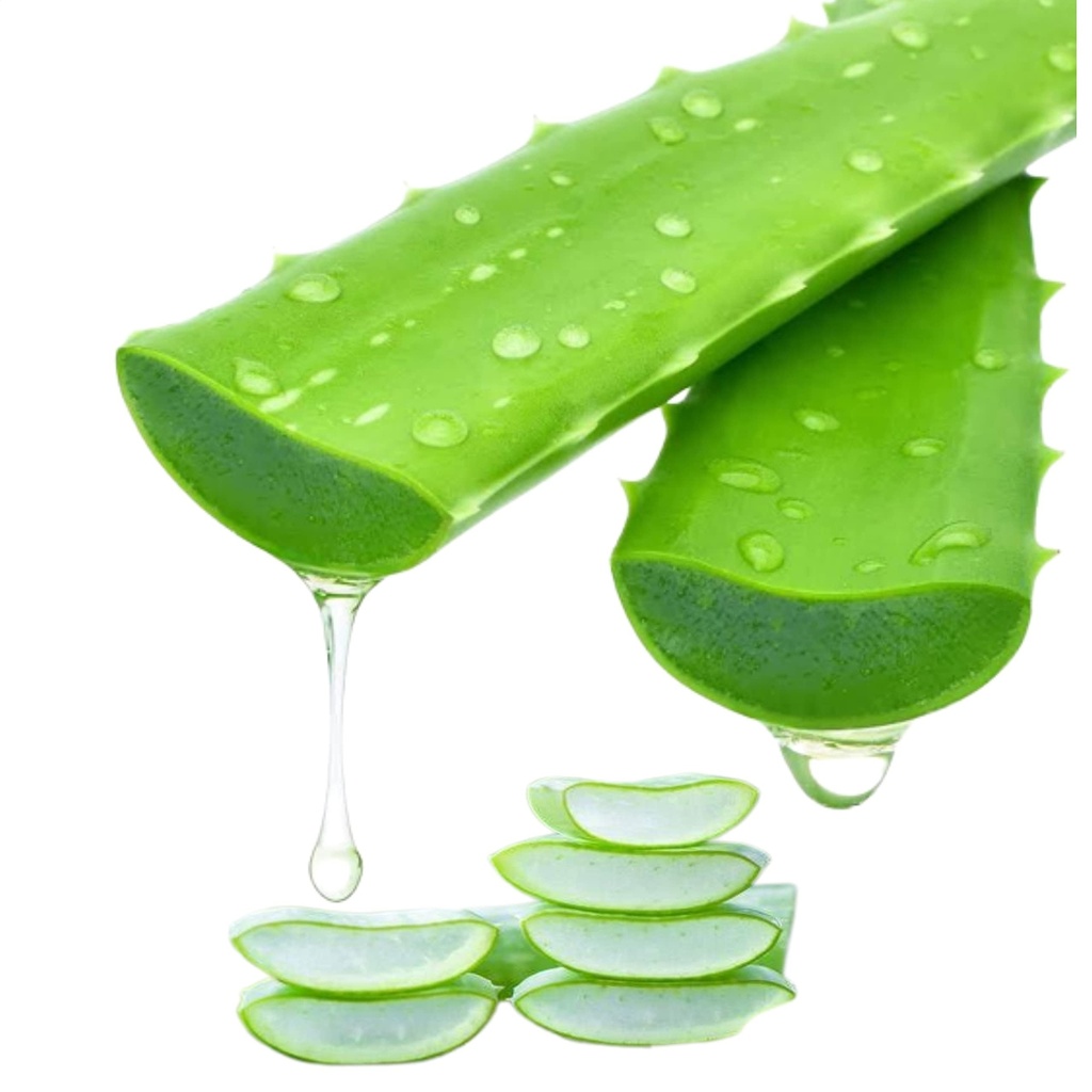 Freshly Harvested Green Organic Aloe Vera Leaf - Fresh Green Aloe Vera Leaf for Natural Wellness, Haircare, and Skincare - Extract Your Own 100% Pure and Chemical-Free Aloe Vera Gel - 1 Kg