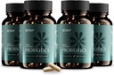BIOMA Probiotica voor Weight Management & Digestief Gezondheid, 3 in 1 Gut Health Probiotica en Prebiotica/Postbiotica, Slow Release Synbiotic Probiotic Capsules for Gut Health Multi Enzyme (240 Caps)
