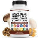 Leeuwen Mane paddo supplement met Turkije staart Reishi Cordyceps Chaga met Marshmallow Root - 1-pack