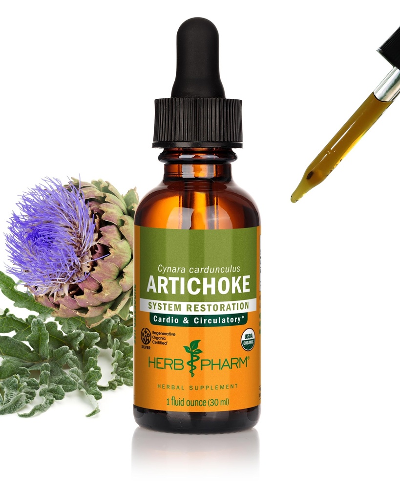Herb Pharm Certified Organic Artichoke Liquid Extract voor Cardiovasculaire en Circulatoire Ondersteuning - 1 Ounce