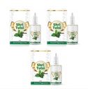 Shri Tulsi Drop, 20 ml, Extract of 5 Types of Tulsi pack of 3