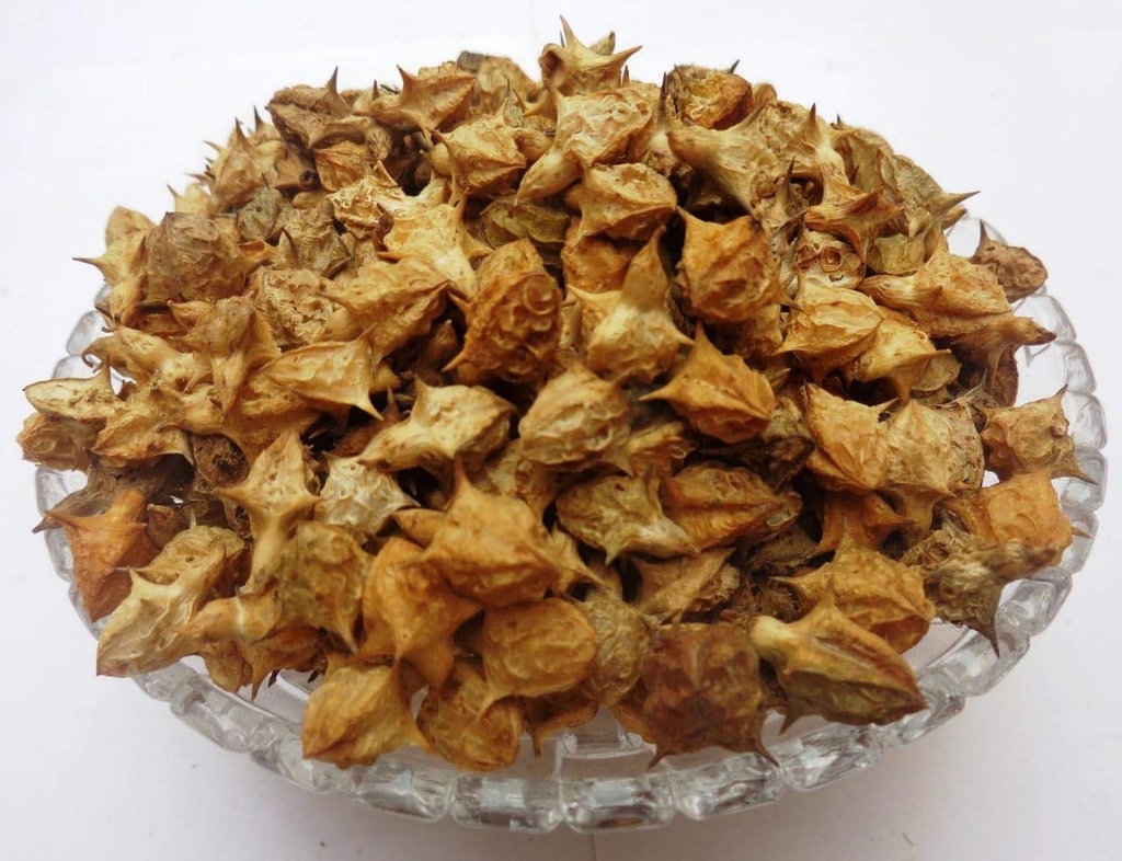 Gokhru Bada - 250Grm - Pedalium Murex - Large Caltrops - Land Caltrops - Gokharu - Gorkhu Seed- Gokshura - गोखरू बड़ा - Gorakhu