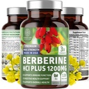 Berberine HCl Supplement 1200mg, Pure Berberis Aristata Capsules to Support Metabolic Health, Digestive Wellness and Cellular Antioxidant Support, Non-GMO, Vegetarian, 120 Capsules, 2-Month Supply