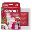 REPLEX Detox Foot Patches, 10 Pads Deep Cleansing Foot Pads for Toxin Remover, Weight Loss, Pain Relief, Better Sleep, Blood Circulation & Detoxification, Natural Ingredients Wolfberry Kinoki Patch