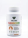 Clean Core Ayurvedic Detox Capsules 500mg | Body Cleanse & Toxin Removal Supplement | Supports Liver Kidney Gut Health | Boosts Energy & Immunity | 60 Capsules Wellvibe