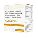 Antioxidants Veg Capsules with Curcumin, Omega 3,6,9 and Multivitamins for Adult Male and Female