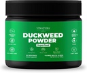 VINATURA Duckweed Powder - Duckweed Supplement, Superfood Digestieve Gezondheid, Fiber-Superfood Powder of Wolffia Globosa
