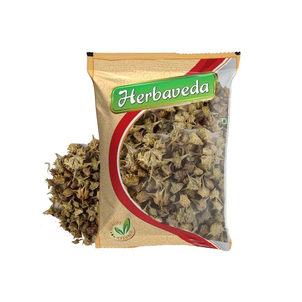 Herbaveda Gokhru Bada (Gokshura) 500g - Pure Tribulus Terrestris Whole Seeds for Men's Wellness, Natural Stamina Traditional Herbal Support, Energy, Vitality & Active Lifestyles