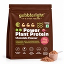 GOBBLERIGHT Plant Protein Powder Chocolate (500g)-28.5g Protein & 4.91g BCAA Per Serve|Isolate & Concentrate Pea Rice Powder with Turmeric & Moringa Extracts|No Added Sugar|Gut Friendly