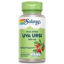 SOLARAY Uva Ursi Leaf 460 mg Gezonde blaas, Nier- en urinetrekfunctie Ondersteuning 